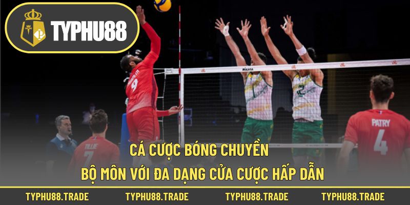 Cá Cược Bóng Chuyền