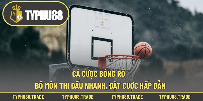 Cá Cược Bóng Rổ