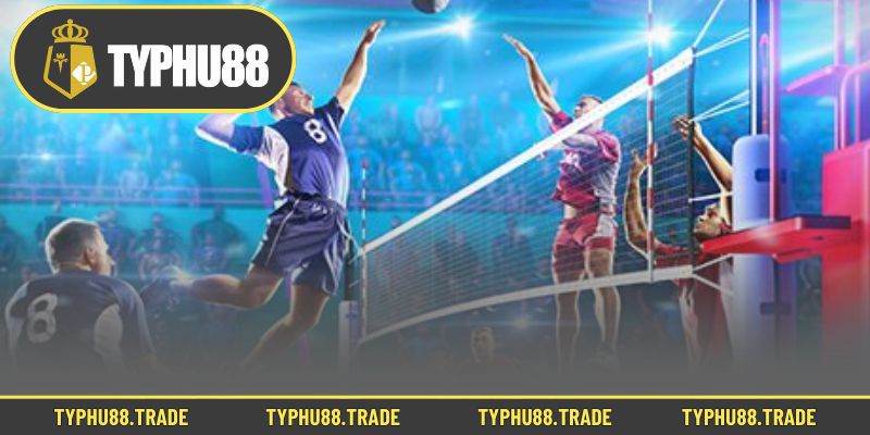 Giới thiệu thông tin cược bóng chuyền cùng Typhu91