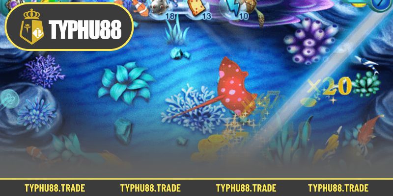 Hệ thống loài cá trong kho sinh vật đa dạng